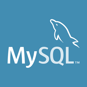 HTML logo